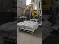 Caso robótico robótico usado automático Palletizer de Palletizer Yaskawa MPL800